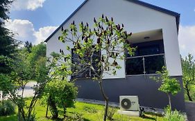 House Under The Maple Tree